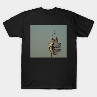 Pair of Galahs T-Shirt